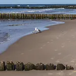 Silence&sea Dwie Sosny *