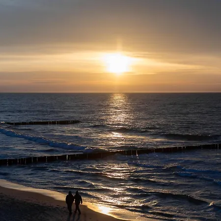 Silence&sea Dwie Sosny