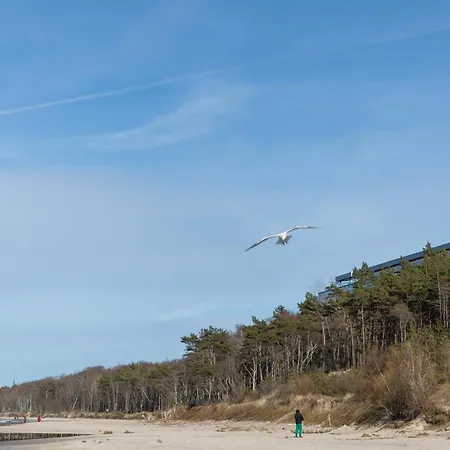 Lägenhet Silence&sea Dwie Sosny *