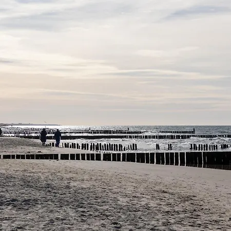 Silence&sea Dwie Sosny *