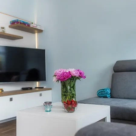 Apartamenty Pod Brzozami Dwie Sosny 아파트