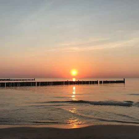 Silence&sea Dwie Sosny *