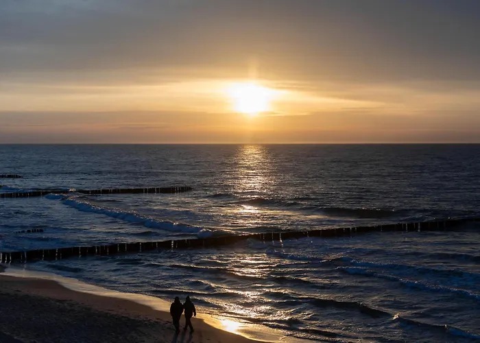 Silence&sea Dwie Sosny