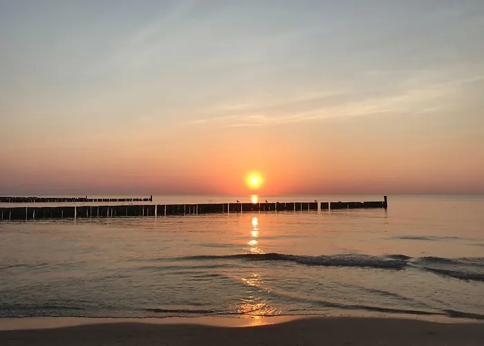 Silence&sea Dwie Sosny *